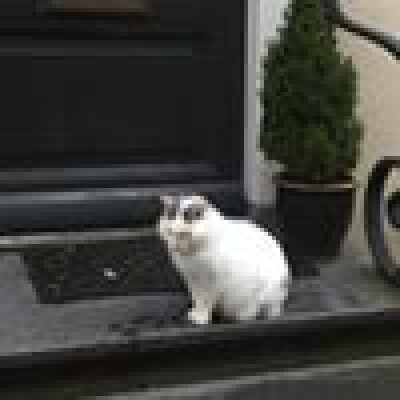 Rufi zoekt een Kamer in Gouda